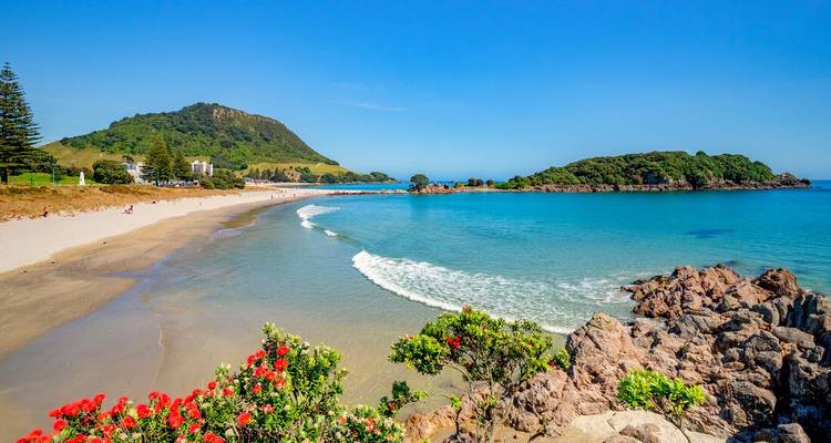 Curving golden beach and turquoise bay framed by flowering pohutukawa trees and green headland