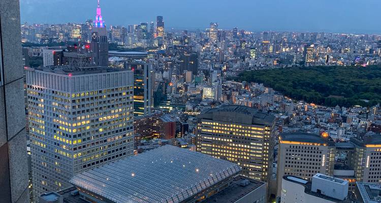 Vue aérienne au crépuscule de la vaste skyline de Tokyo avec la Skytree brillant de couleurs éclatantes au-dessus des rues animées.