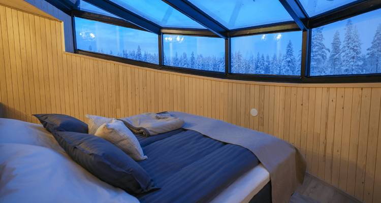La chambre igloo aux parois vitrées offre une vue panoramique de la forêt enneigée au crépuscule.