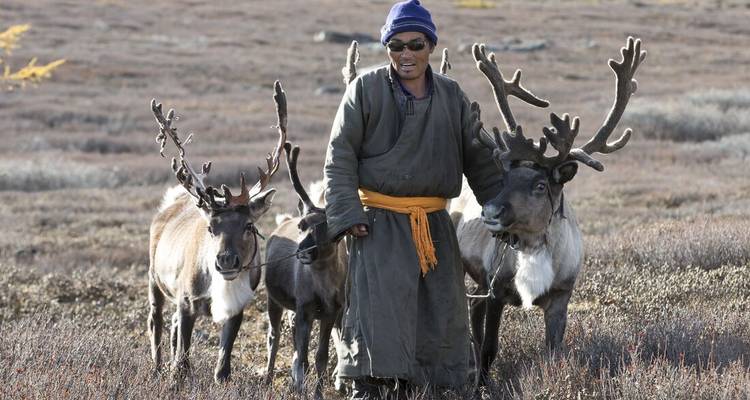 Un pastor de renos con bata tradicional de pie junto a tres renos con astas en la tundra abierta.