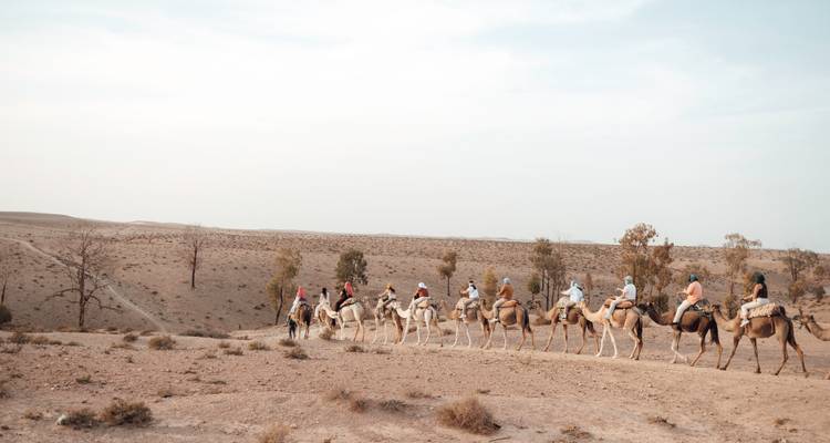 Caravan of tourists on camels crossing a barren desert landscape beneath a soft pale sky.