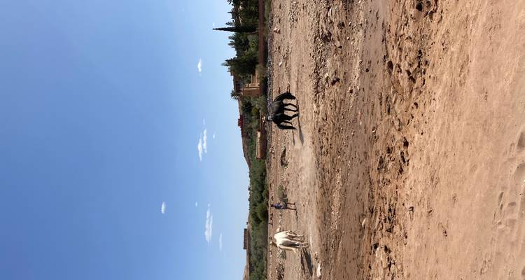 Horse riders and a lone white horse traverse a dry riverbed under a broad blue sky.
