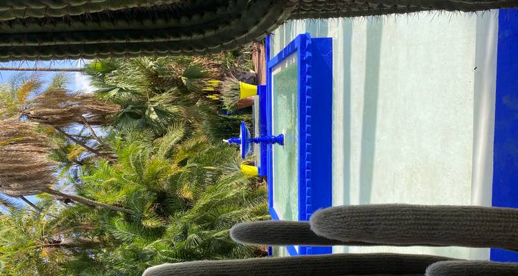 Bright blue square fountain edged by tall cacti and palm fronds in Jardin Majorelle.