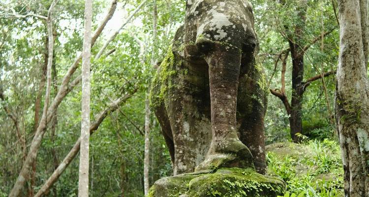 Moss-covered stone elephant statue surrounded by dense tropical forest.