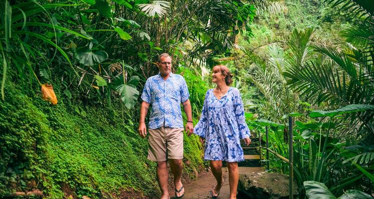 Un couple se promène sur un sentier de jungle luxuriant bordé de plantes tropicales et de fougères.