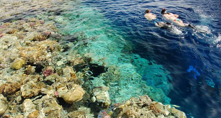Los que practican snorkel se deslizan sobre arrecifes de coral vibrantes en las aguas cristalinas del Mar Rojo.
