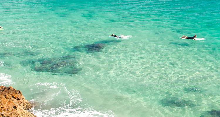 Deux surfeurs pagaient sur une eau turquoise cristalline au-dessus de zones de récif sombre.