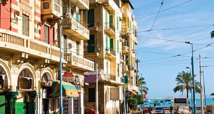 Des bâtiments de style méditerranéen colorés bordent une rue côtière parsemée de palmiers et de bateaux de pêche par une belle journée ensoleillée.