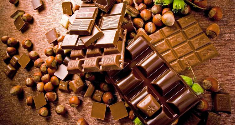 Assortiment de barres de chocolat noir riche et de noisettes sur une surface en bois rustique.