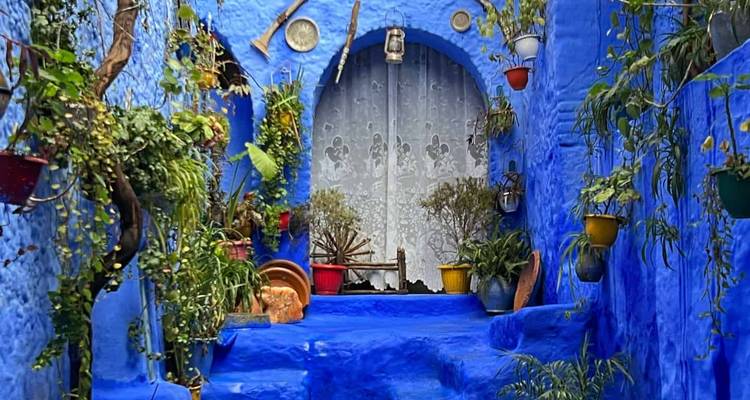 Ruelle bleu vibrant à Chefchaouen décorée de plantes et de poterie