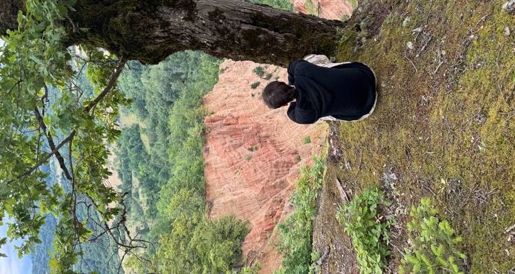 Personne assise sous un arbre à la lisière d'un canyon rougeâtre surplombant une forêt dense.