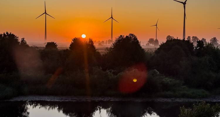 Lever de soleil orange derrière une ligne d'éoliennes avec des arbres brumeux se reflétant dans une eau calme.