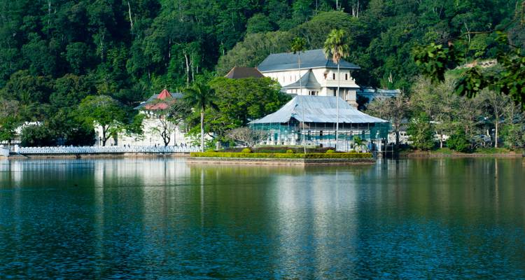Lago tranquilo en Kandy que refleja edificios reales y colinas frondosas llenas de bosques.