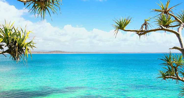 Mer turquoise cristalline encadrée par des branches de pandanus contre un ciel bleu éclatant.