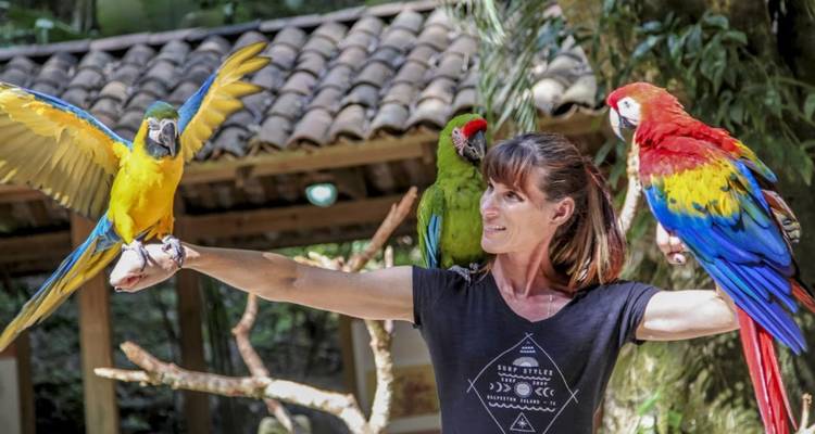 Femme tenant des aras aux couleurs éclatantes et un perroquet dans un cadre de sanctuaire luxuriant