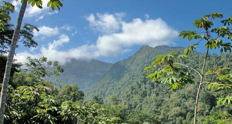 Montagnes boisées vertes sous un ciel lumineux avec des nuages dispersés