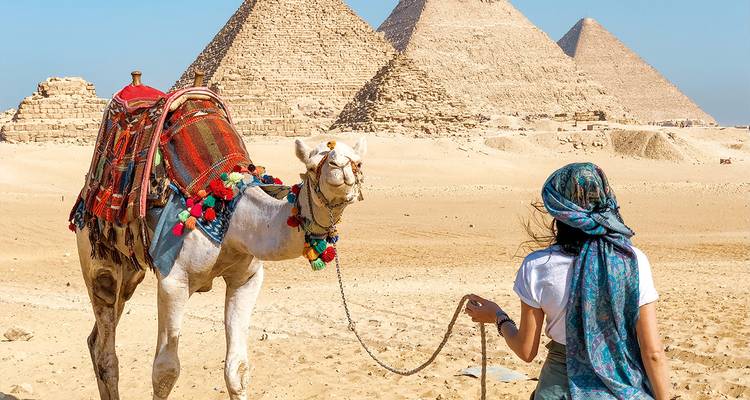 Femme guidant un chameau richement orné à travers les sables du désert avec les pyramides qui bordent l'horizon.