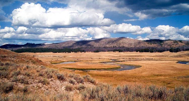 Large vallée de prairies dorées et une rivière sinueuse sous des nuages dramatiques à Yellowstone.