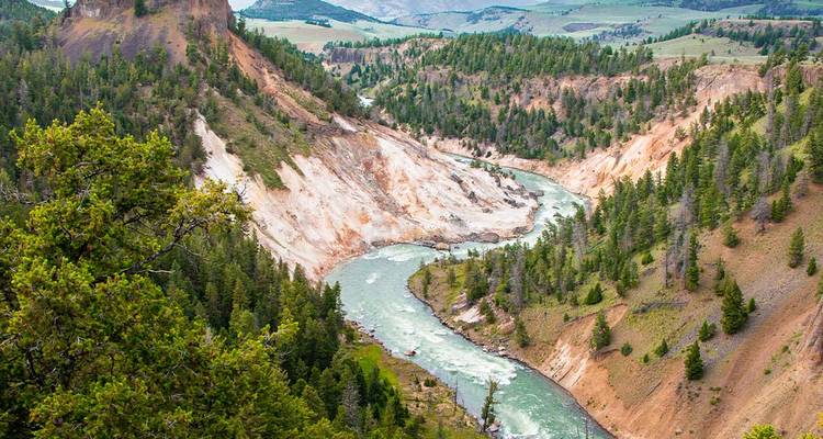Profond canyon aux parois abruptes avec une rivière verte sinueuse s'écoulant à travers le terrain boisé de Yellowstone.