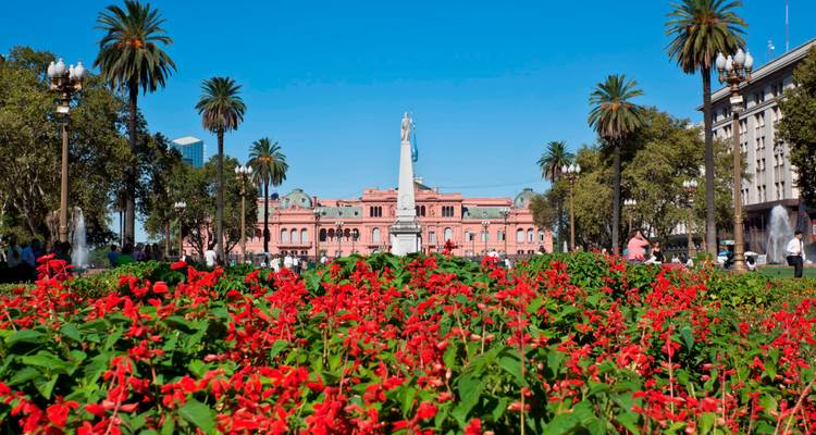 Flores de un rojo brillante en la Plaza de Mayo con la Casa Rosada y palmeras bajo un cielo azul despejado.