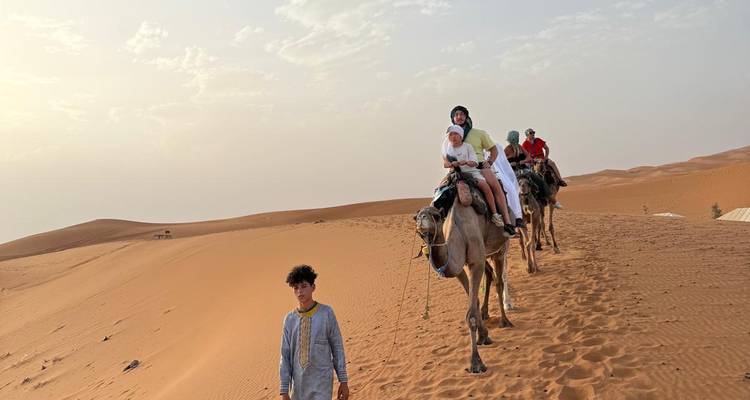 Caravane de chameaux menée par un guide à travers les dunes de sable doré du désert sous une lumière matinale voilée