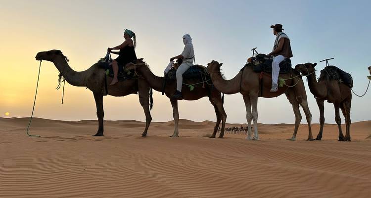 Des chameaux avec des cavaliers en silhouette contre un soleil couchant sur des dunes de sable ondulantes