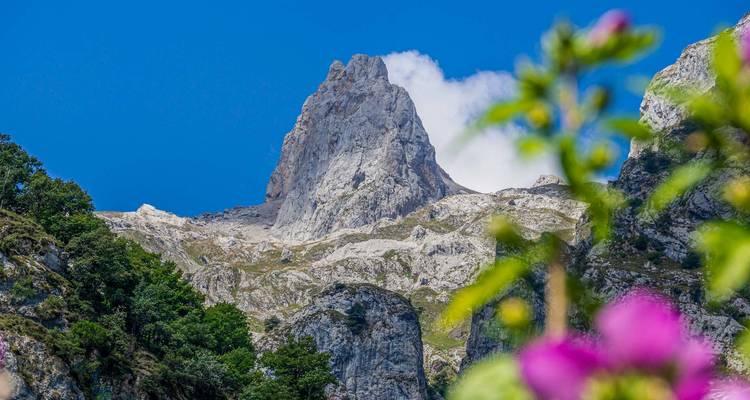 Eine dramatische Kalksteinspitze erhebt sich gegen einen lebhaften blauen Himmel mit unscharfen Blumen im Vordergrund.