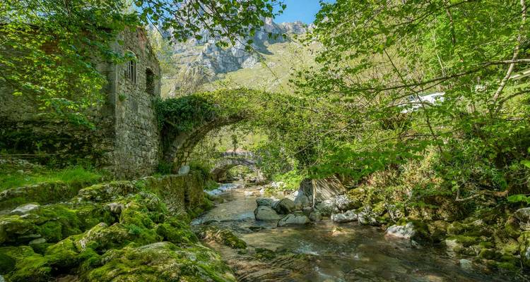 Moosbedeckte Steinbrücke über einen klaren Bach inmitten üppiger Vegetation und felsiger Hänge.