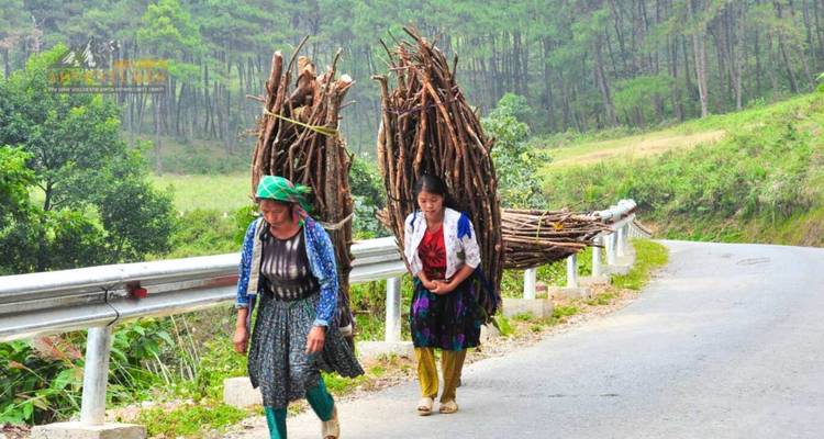 Mujeres locales con vestimenta tradicional cargando grandes bultos de leña en un camino rural de montaña.