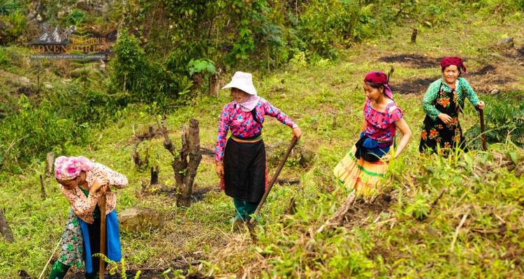 Mujeres de minorías étnicas trabajando en una granja en una ladera con terrazas, vistiendo ropa con diseños llamativos.