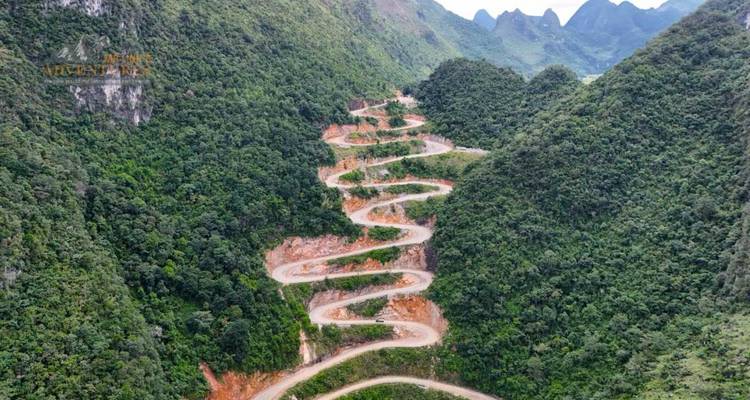Image aérienne d'une route de montagne spectaculaire en zigzag traversant une forêt d'un vert profond.