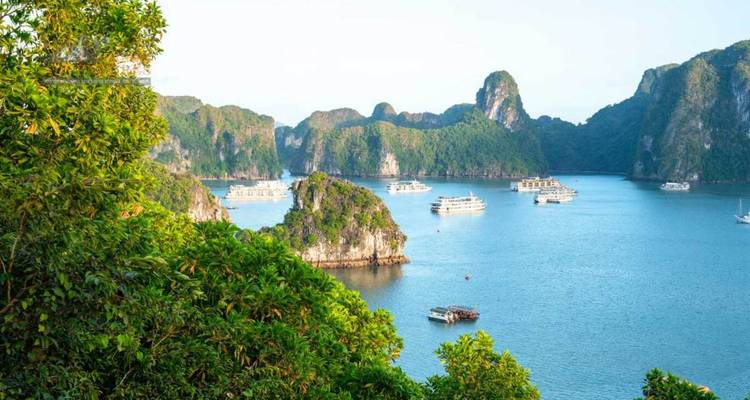 Des îles calcaires d'un vert luxuriant s'élèvent des eaux bleues de la baie d'Halong, parsemées de bateaux de croisière blancs.