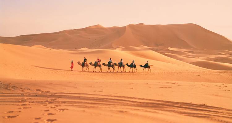 A line of travellers on camels crosses golden sand dunes under a soft morning sky.