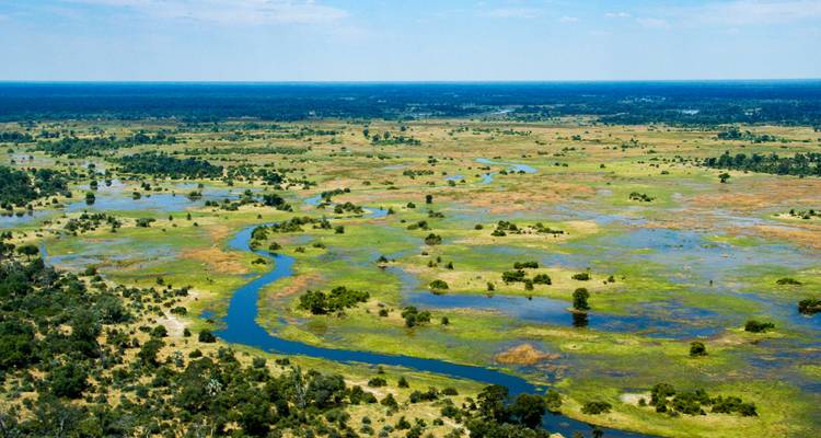 Panorama aéreo de los sinuosos cursos de agua, islas y humedales del Delta del Okavango extendiéndose hasta el horizonte.