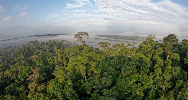 Luftaufnahme über dichtem Amazonas-Regenwald mit Fluss und Frühnebelaufstieg unter aufgerissenen Wolken.