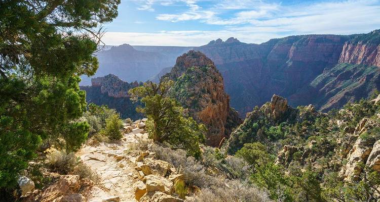Rocky trail winds along a forested ridge with expansive views into the Grand Canyon.
