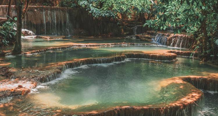 Terraced emerald pools fed by gentle cascades shaded by dense tropical foliage.