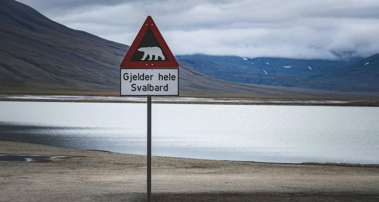 Triangular road sign warning of polar bears beside an Arctic fjord under moody grey skies in Svalbard.