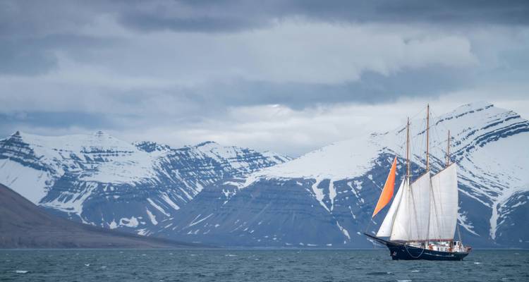 Tall-masted sailing ship with orange sail gliding past snow-capped mountains in Arctic waters.