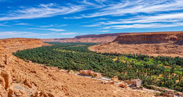 Un cañón amplio lleno de una cinta de oasis de palmeras y pequeños pueblos que se extienden hacia la distancia.