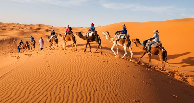 Une caravane de cavaliers à dos de chameaux traversant les dunes de sable doré du désert du Sahara sous un ciel bleu éclatant.