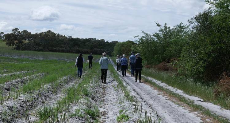 Un petit groupe de touristes marche le long d'une piste agricole sablonneuse entre des rangées de cultures vertes et des terres arbustives sous un ciel partiellement nuageux.
