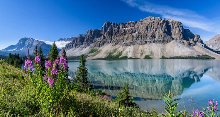 Kristallklarer Alpensee, der die gezackten Rocky Mountains und leuchtende Wildblumen unter einem tiefblauen Himmel in den kanadischen Rocky Mountains widerspiegelt.