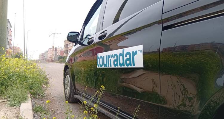 Fourgonnette noire aux couleurs de TourRadar garée au bord de la route avec des fleurs sauvages au premier plan