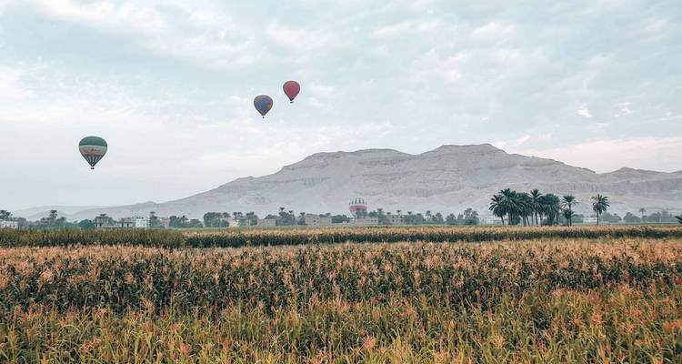 Three colorful hot-air balloons float over green fields with a desert mountain ridge in soft morning light.