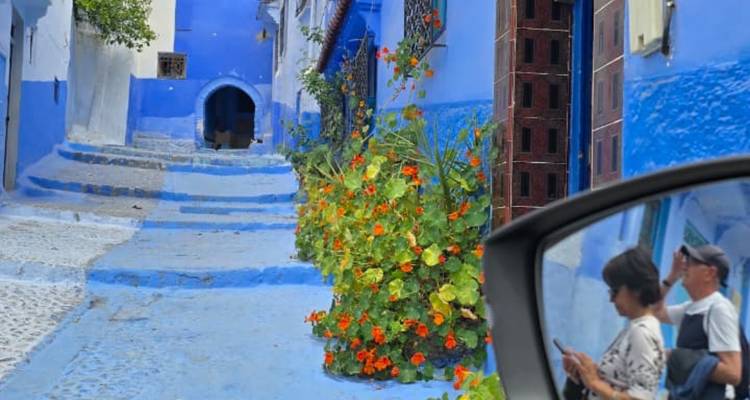 Callejón estrecho azul cobalto en Chefchaouen lleno de flores, capturado con el reflejo de un espejo de coche de los viajeros.