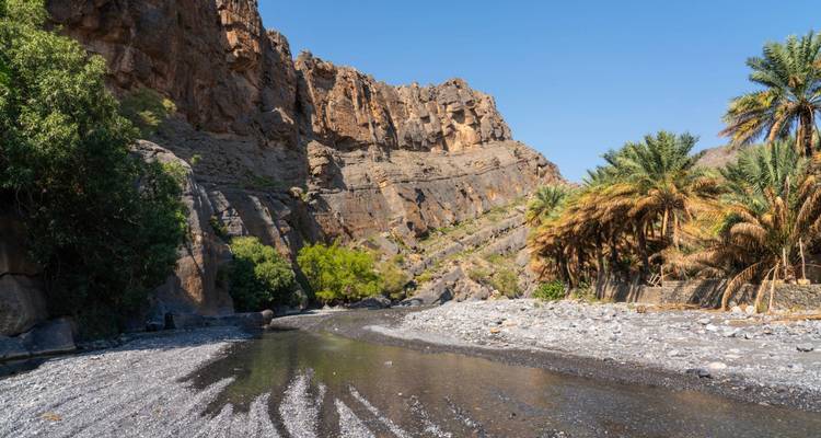 Wadi rocoso con palmeral y arroyo de aguas claras y poco profundas bajo un cielo azul.