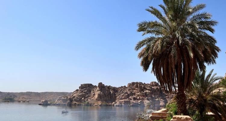 Palm tree overlooking the Nile River with rocky outcrop under clear blue sky