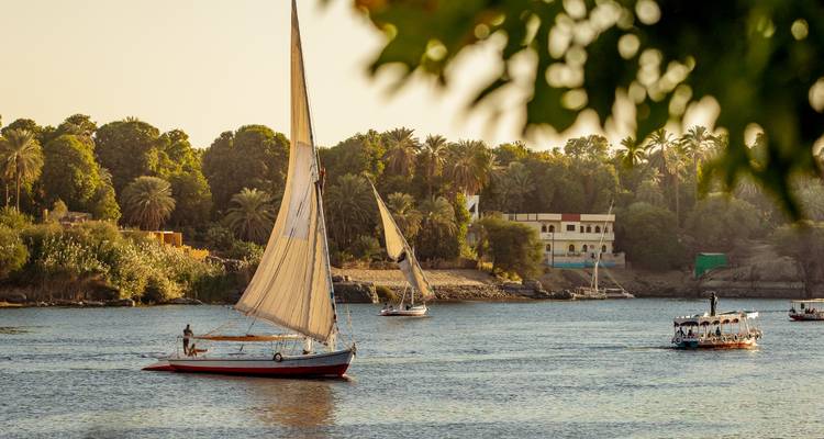 Traditionele felucca-zeilboten glijden tijdens het gouden uur over de Nijl met weelderige oevers op de achtergrond.