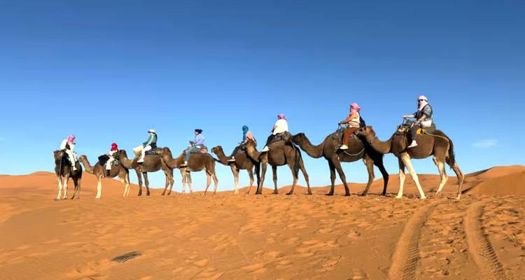 Una caravana de ocho camellos montados por viajeros se desplaza a través de una cresta de arena color herrumbre bajo un cielo despejado.